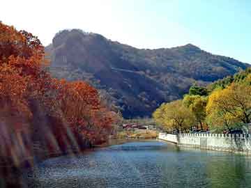 新澳天天开奖资料大全旅游团，龙少站群